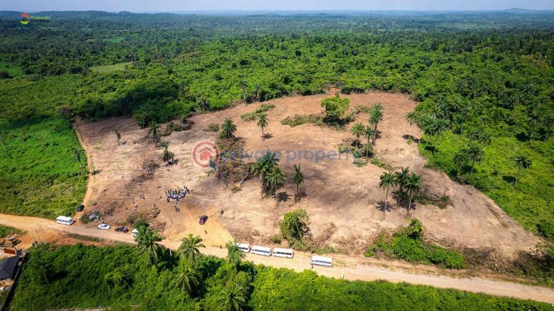 Land For Sale Agborun Village Iyana Obafemi Bustop Obafemi Owode Ogun - 3