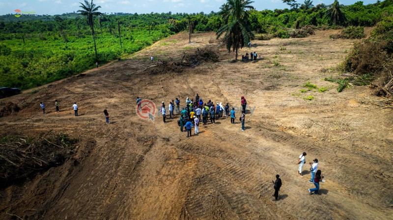 Land For Sale Agborun Village Iyana Obafemi Bustop Obafemi Owode Ogun - 2