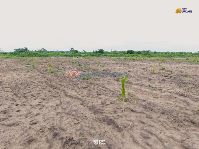 Land For Sale Igbese Ota Ogun - 4