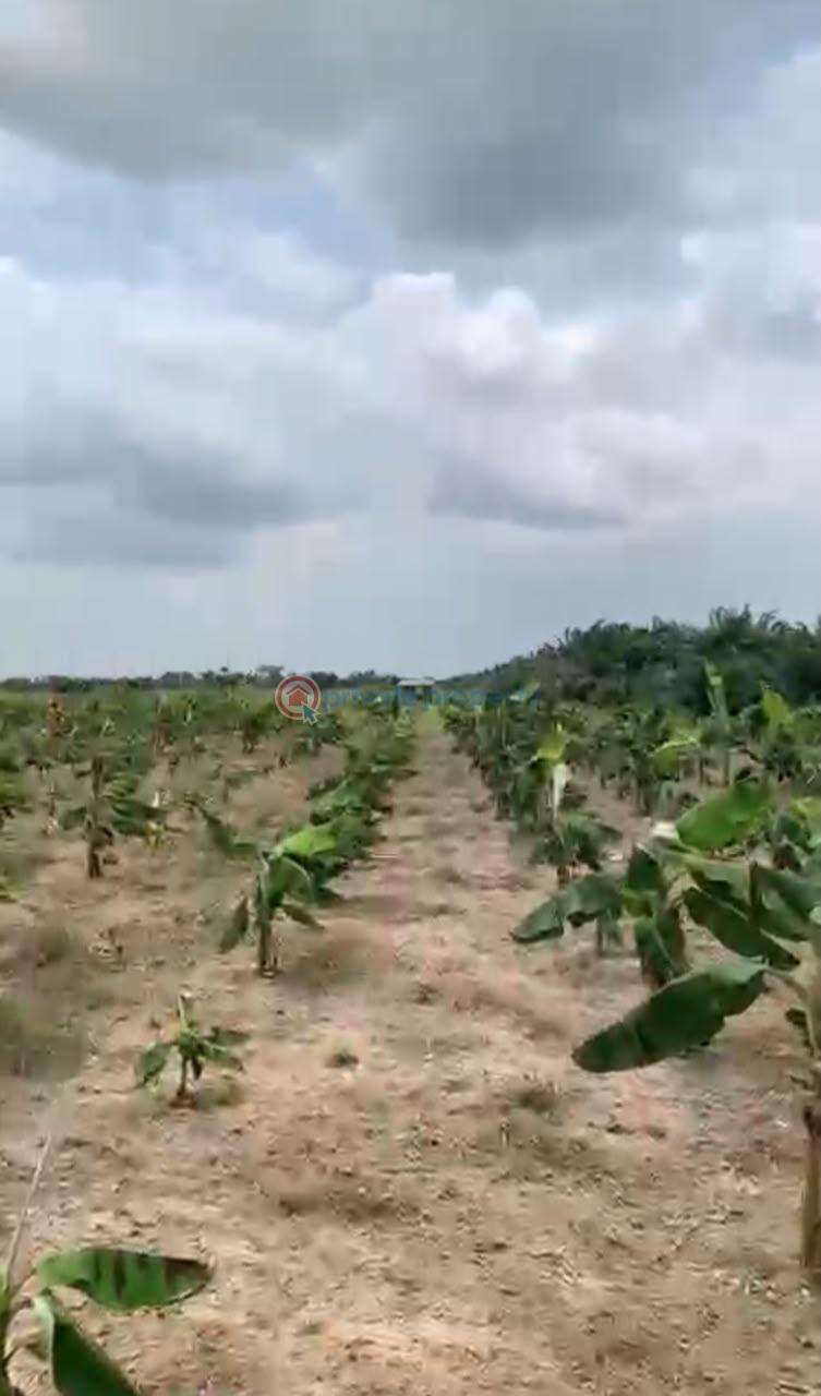 Land For Sale Epe Toll Gate Lagos Extension Ogun - 4