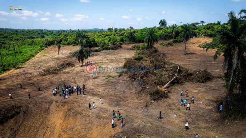 Land For Sale Agborun Village Iyana Obafemi Bustop Obafemi Owode Ogun - 1