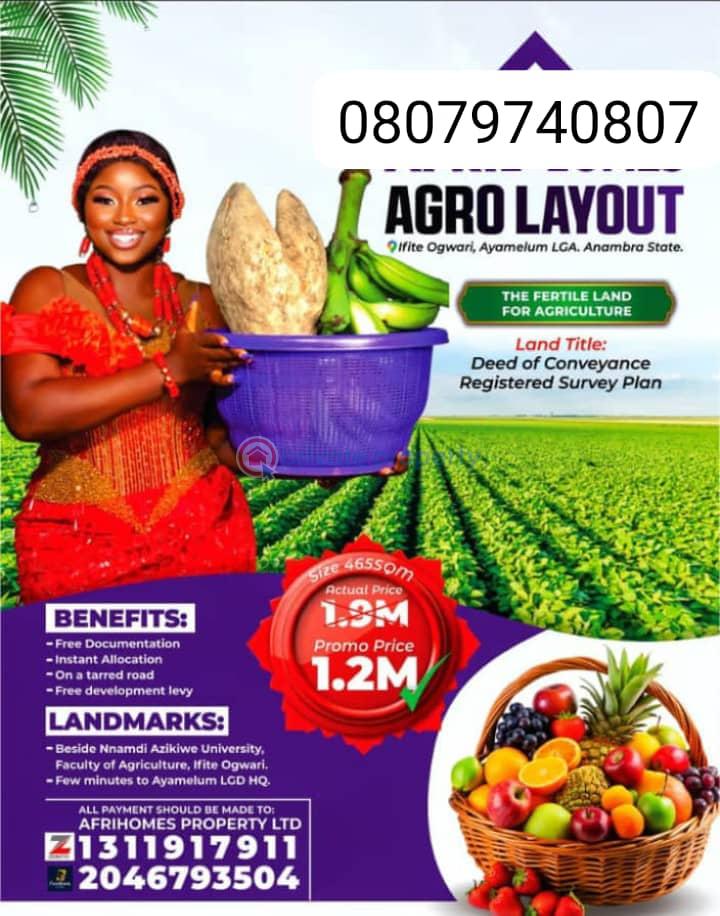 Mixed use Land For Sale Ayamelum Anambra