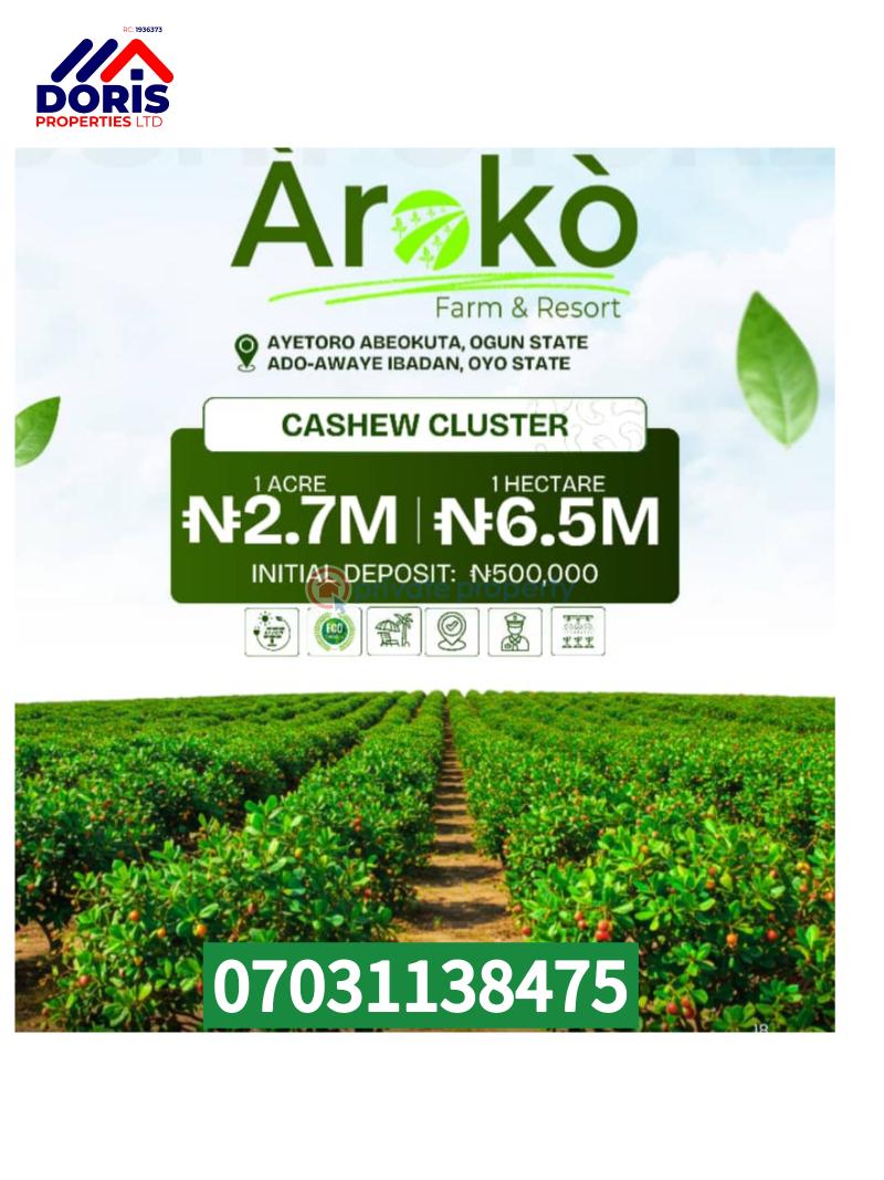 Mixed use Land For Sale Aroko Farm And Resort Abeokuta Ogun - 1
