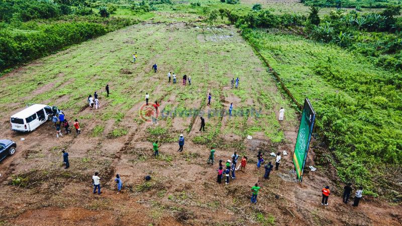 Commercial Land For Sale Isiwo Ogun State Ogun Ogun area 
