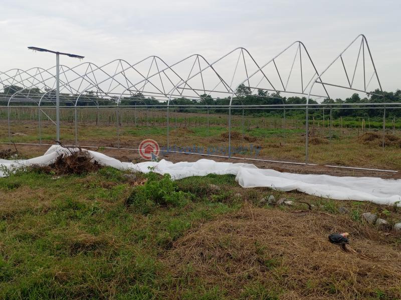 Mixed use Land For Sale Paradisso Farm Alabata Abeokuta Ogun - 5