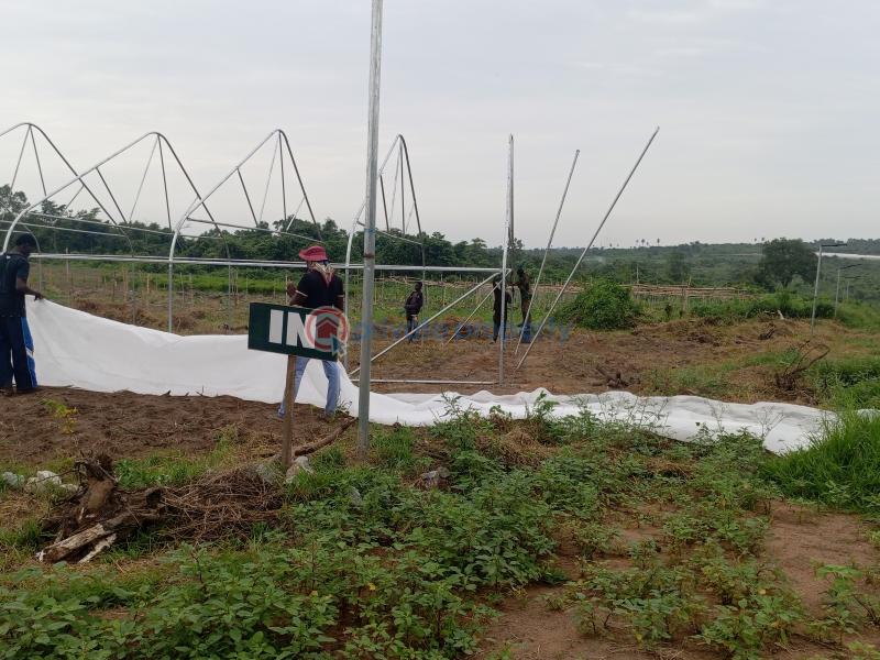 Mixed use Land For Sale Paradisso Farm Alabata Abeokuta Ogun - 4