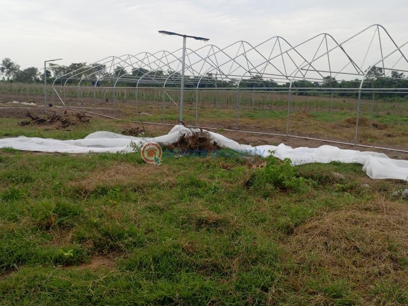 Mixed use Land For Sale Paradisso Farm Alabata Abeokuta Ogun - 6