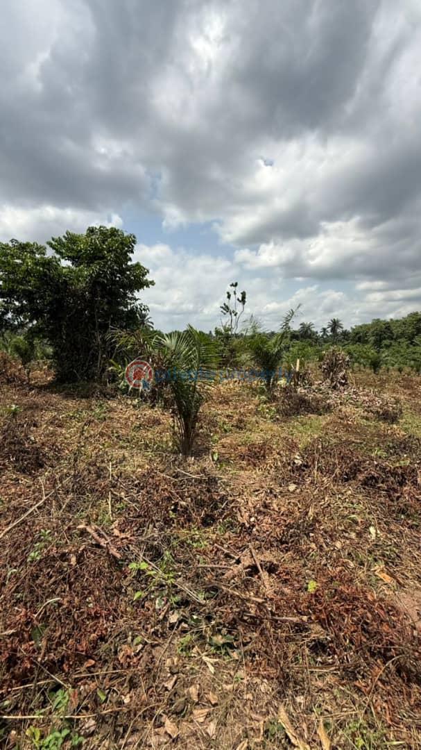 Residential Land For Sale Remo, Around Gateway Polytechnic Ogun area  - 1