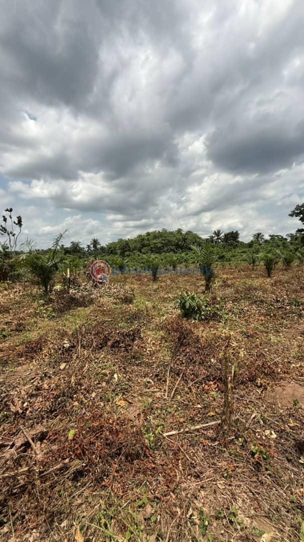 Residential Land For Sale Remo, Around Gateway Polytechnic Ogun area  - 2