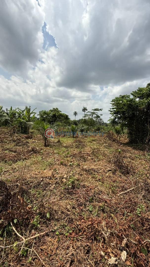 Residential Land For Sale Remo, Around Gateway Polytechnic Ogun area  - 3