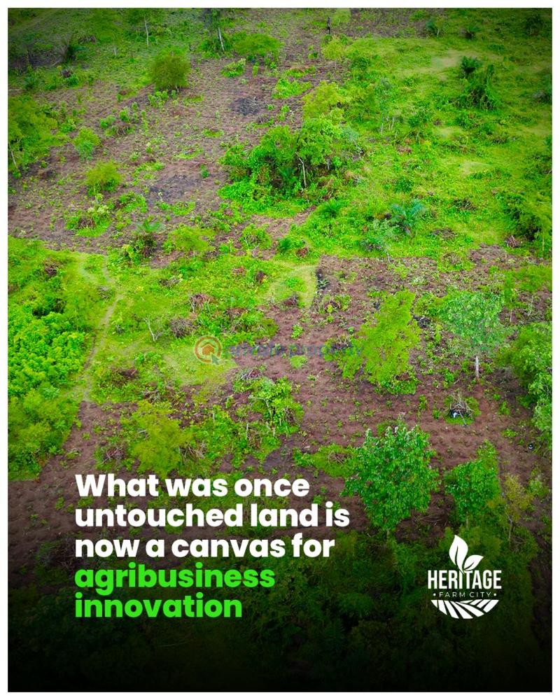 Industrial Land For Sale Alabata Abeokuta Ogun - 8