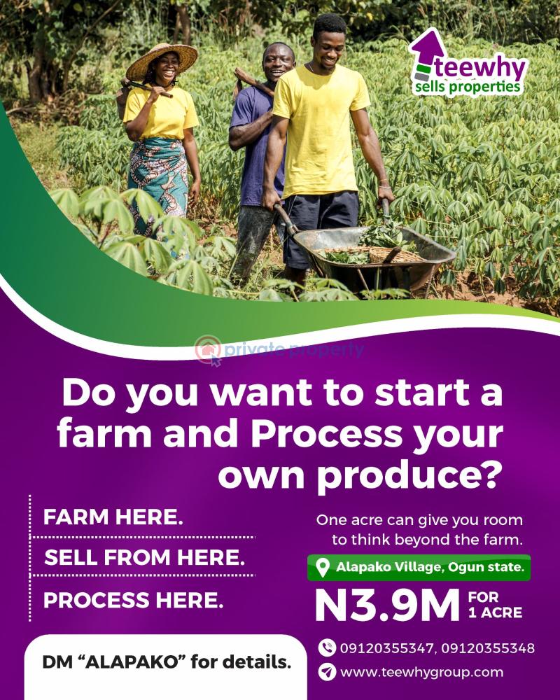 Mixed use Land For Sale Alapako Obafemi Owode Ogun State Alapakooni Obafemi Owode Ogun - 1