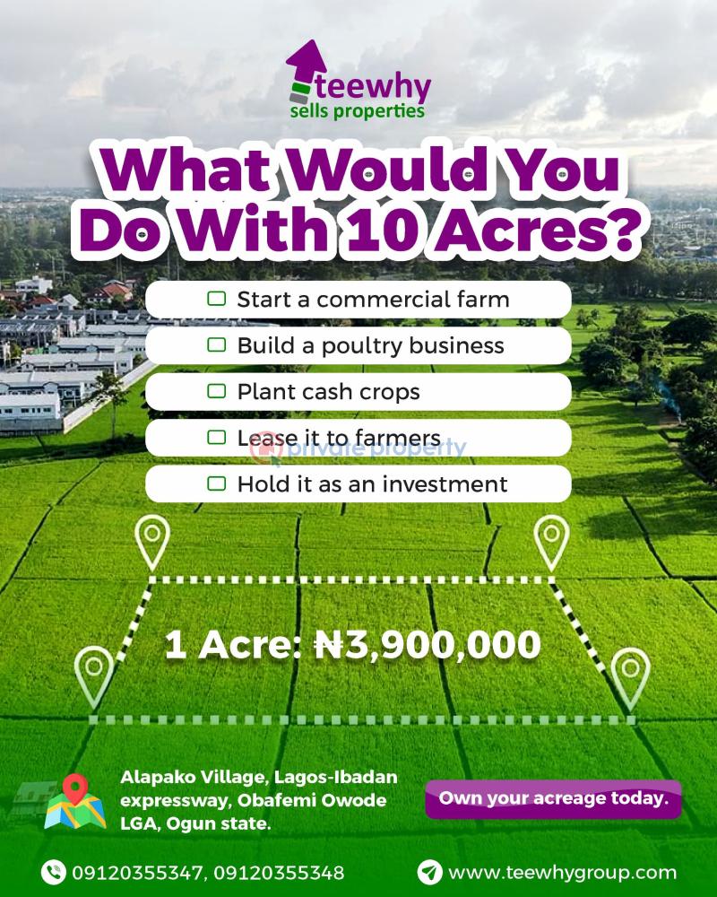 Mixed use Land For Sale Alapako Obafemi Owode Ogun State Alapakooni Obafemi Owode Ogun - 3