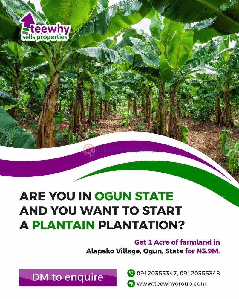 Mixed use Land For Sale Alapako Obafemi Owode Ogun State Alapakooni Obafemi Owode Ogun - 2