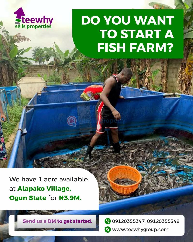 Mixed use Land For Sale Alapako Obafemi Owode Ogun State Alapakooni Obafemi Owode Ogun - 0