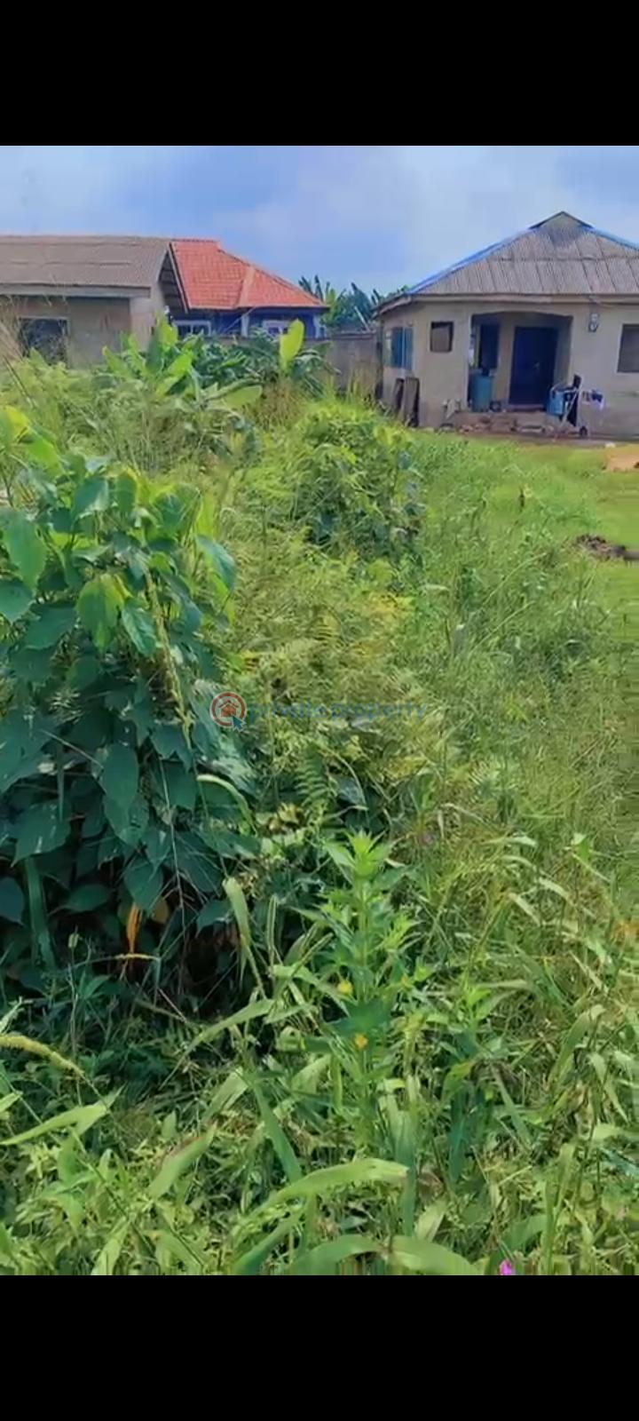 Residential Land For Sale Alibarika Block Eruwen Ikorodu Ikorodu Lagos - 0