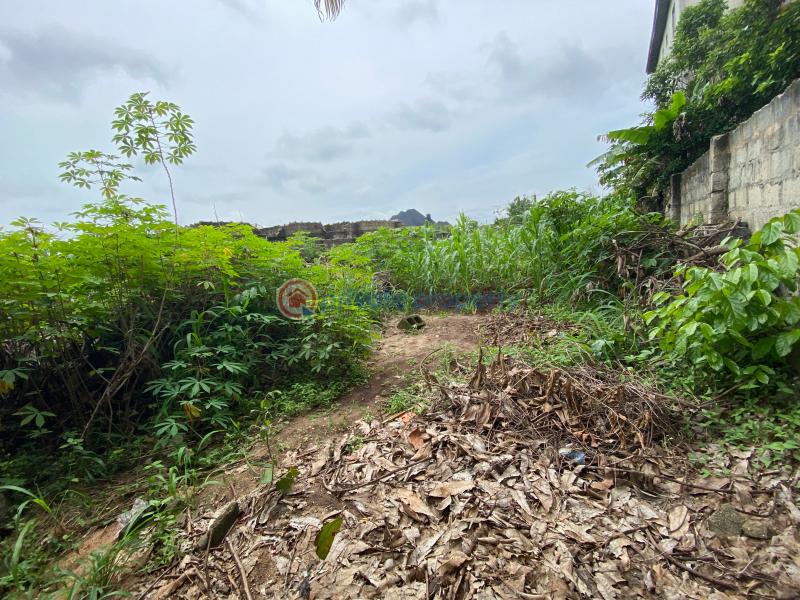 Residential Land For Sale Uba Orogwe L, Owerri West Lga, Imo State Owerri Imo - 5
