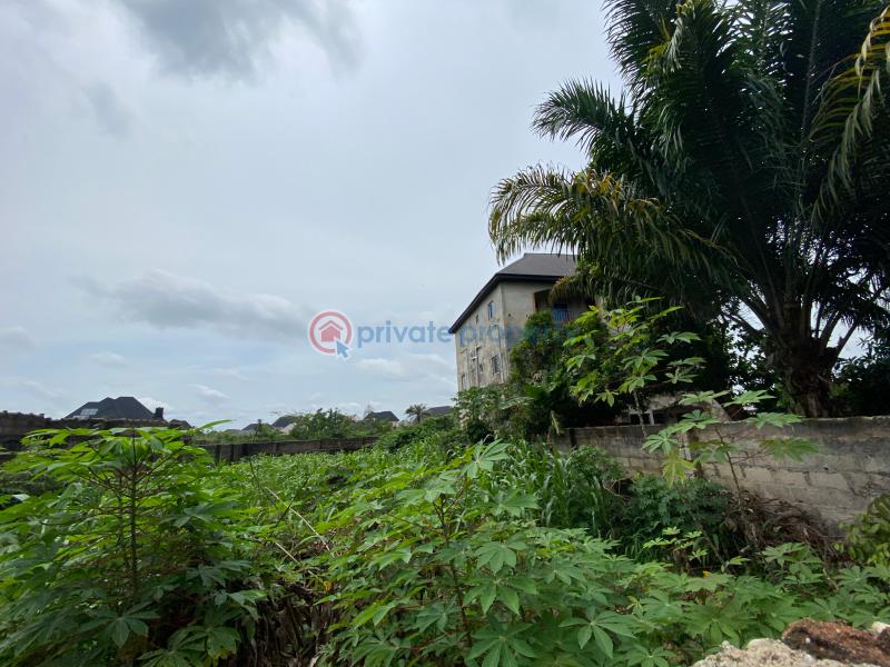 Residential Land For Sale Uba Orogwe L, Owerri West Lga, Imo State Owerri Imo - 3