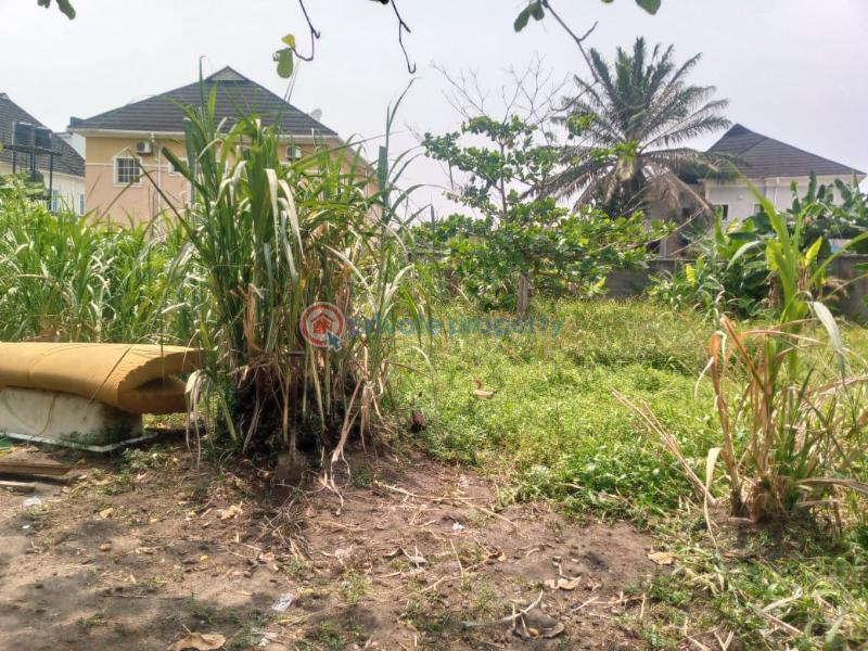 Residential Land For Sale Terra Annex Estate, Sangkotedo, Ajah. Sangotedo Lagos - 1