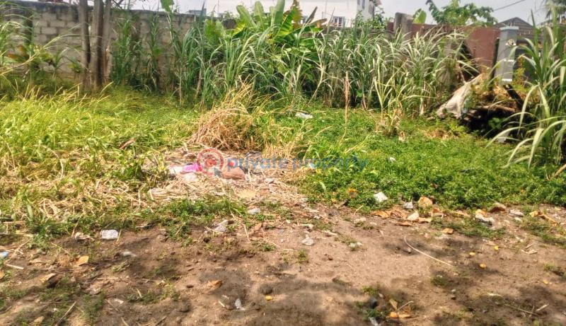 Residential Land For Sale Terra Annex Estate, Sangkotedo, Ajah. Sangotedo Lagos - 2