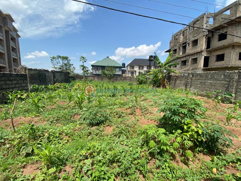 Mixed use Land For Sale Spibat Umuodu Close To Rochas Estate, Owerri, Imo State Owerri Imo - 2