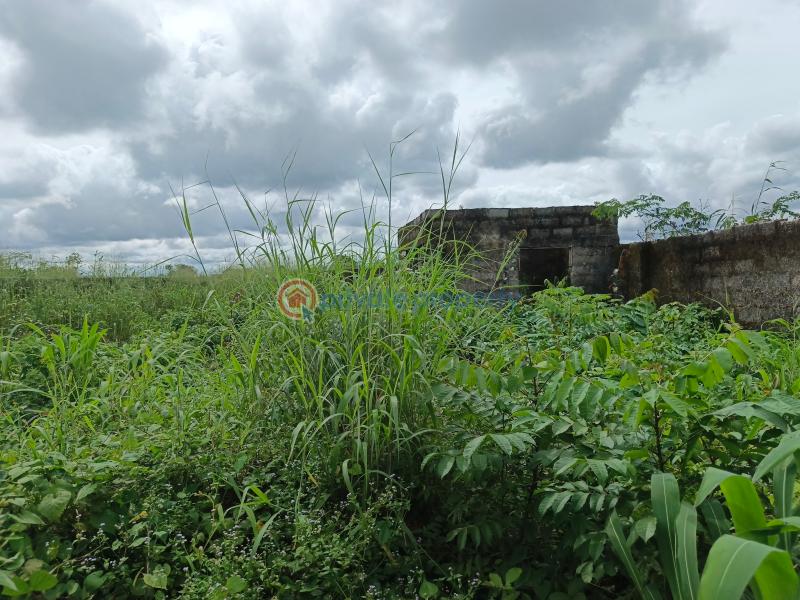 Residential Land For Sale Amakabo Avenue By White House Avu Owerri Imo - 18