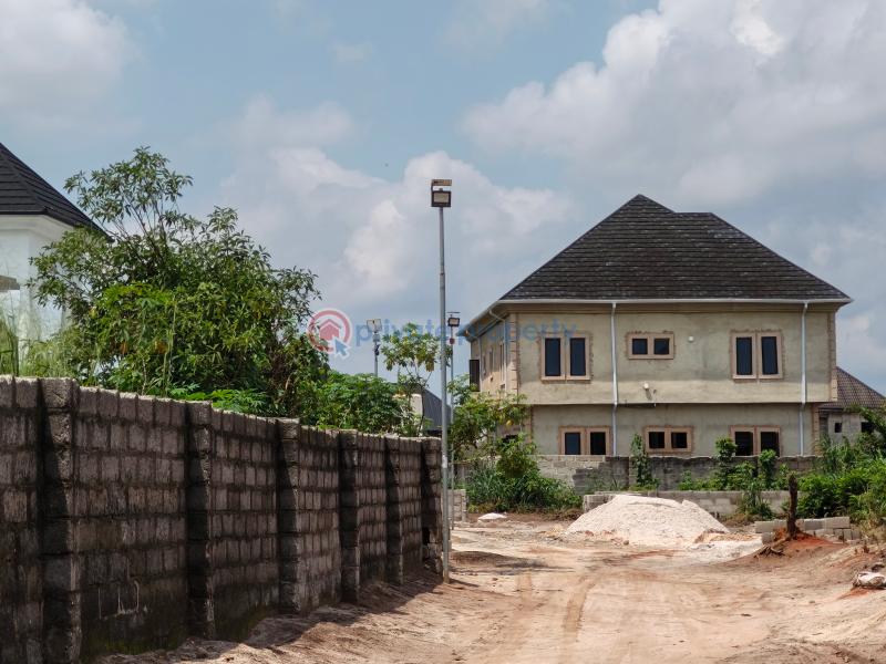 Residential Land For Sale Douglas Avenue Oboku In Avu Owerri Imo - 3