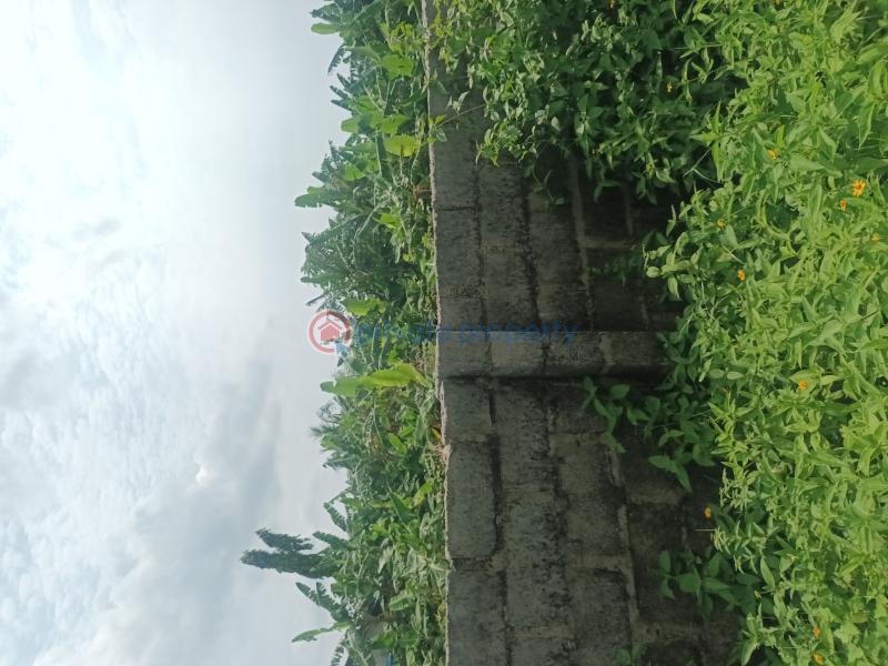 Mixed use Land For Sale Ogombo Ajah Lagos - 6