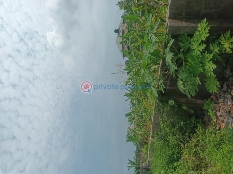 Mixed use Land For Sale Ogombo Ajah Lagos - 2