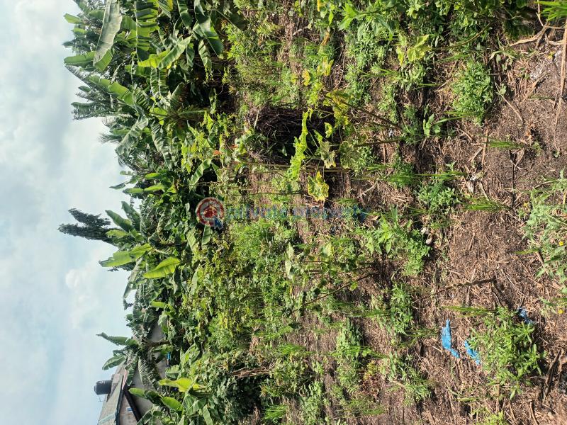 Mixed use Land For Sale Ogombo Ajah Lagos - 0