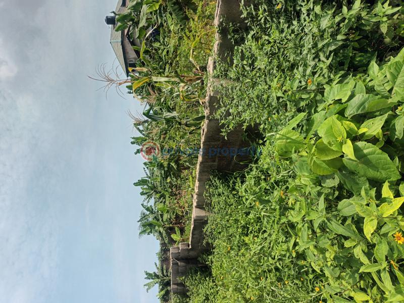 Mixed use Land For Sale Ogombo Ajah Lagos - 1