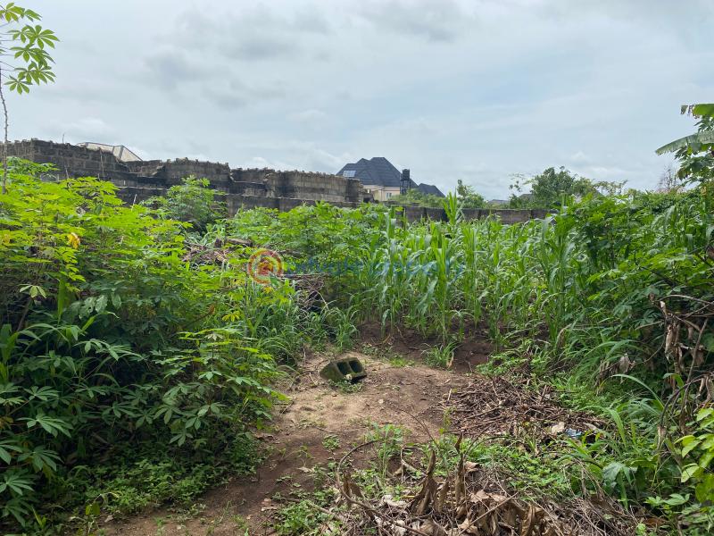 Residential Land For Sale Uba Orogwe, Off Owerri Onitsha Rd, Owerri West Lga, Imo State Owerri Imo - 6