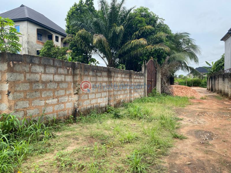 Residential Land For Sale Uba Orogwe, Off Owerri Onitsha Rd, Owerri West Lga, Imo State Owerri Imo - 6