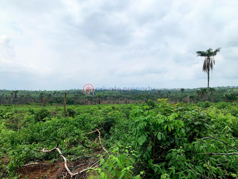 Commercial Land For Sale Alphamark Farm City Extension Omu Ijebu Close To Food Logistics Hub Odogbolu Ogun - 3