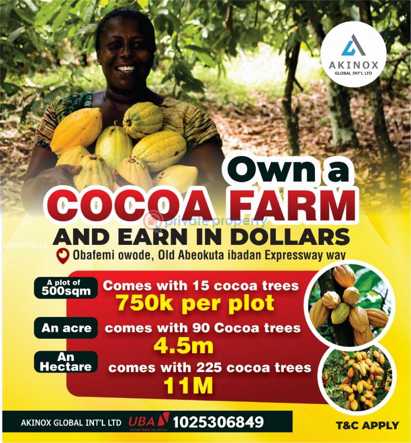 Commercial Land For Sale Cocoa Farm Village Estate Old Abeokuta Ibadan Expressway Obafemi Owode Ogun