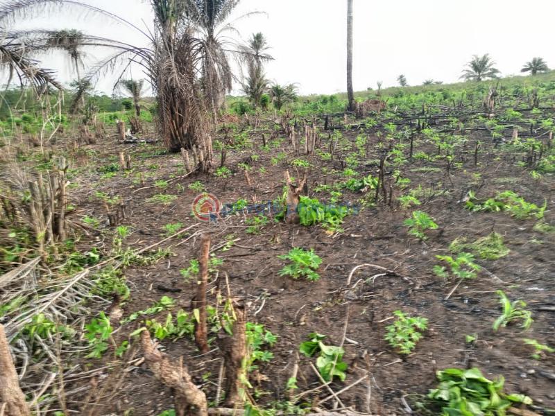 Commercial Land For Sale Greenwealth City Farm Isiwo Close To Epe Toll Gate Ijebu Ode Ogun - 1