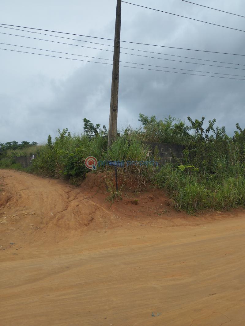 Land For Sale Direct Opposite Former Cbn Office Ijede Ikorodu Lagos - 1