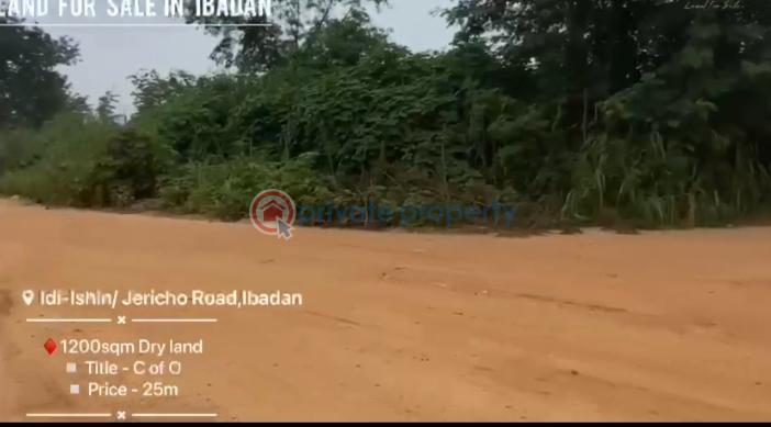 Land For Sale Beside Dollar Estate, Idi Ishin / Jericho Road, Ibadan Oyo - 3