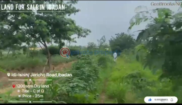Land For Sale Beside Dollar Estate, Idi Ishin / Jericho Road, Ibadan Oyo - 2
