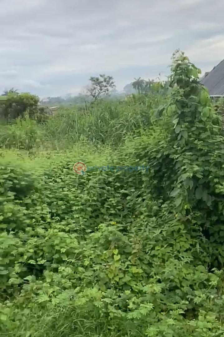 For sale Land Independence Layout Phase 2 Enugu Area (PID 2PBBTB