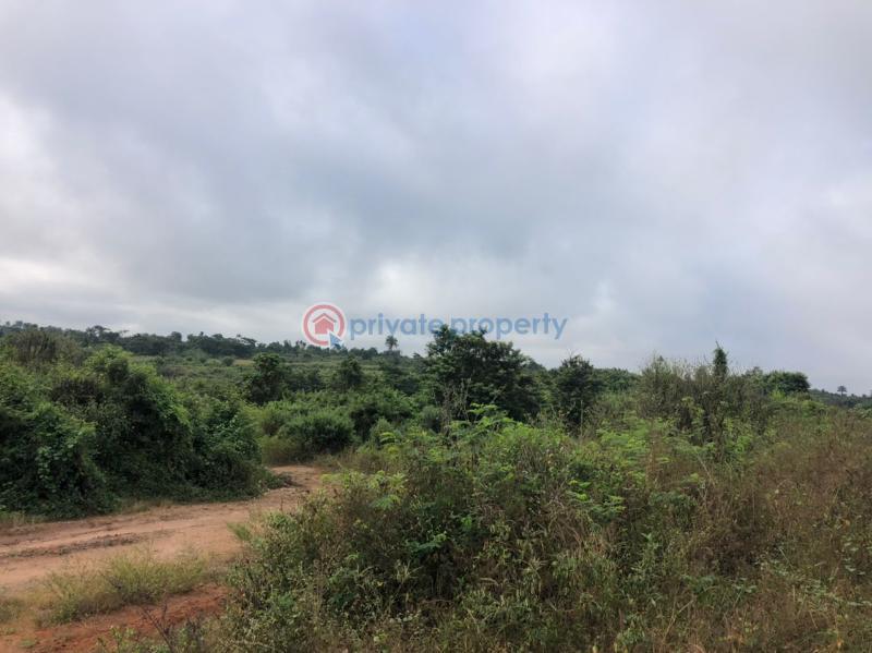 Land For Sale Aba Nla Odo ona Ibadan Oyo - 2