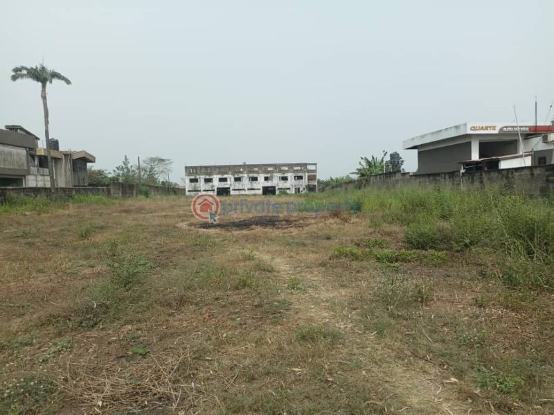 Land For Sale Apata=abeokuta Road Apata Ibadan Oyo - 3