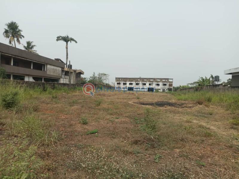 Land For Sale Apata=abeokuta Road Apata Ibadan Oyo - 6