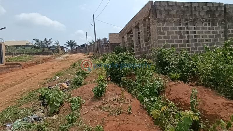 1 bedroom House For Sale Ayobo Ipaja Lagos - 6