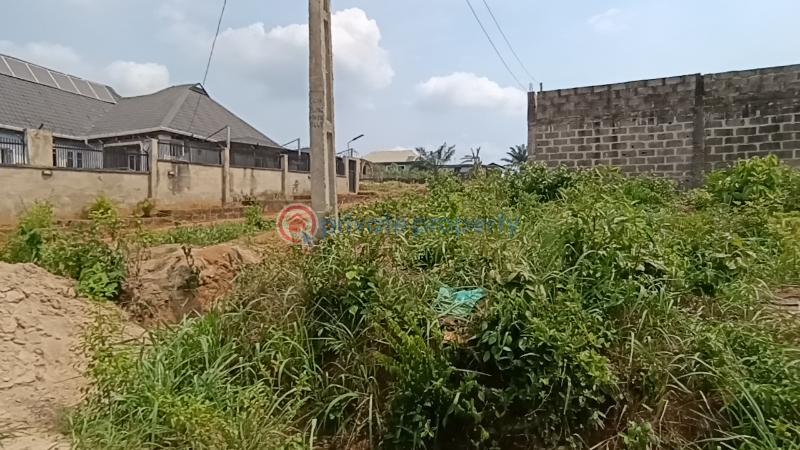 1 bedroom House For Sale Ayobo Ipaja Lagos - 3