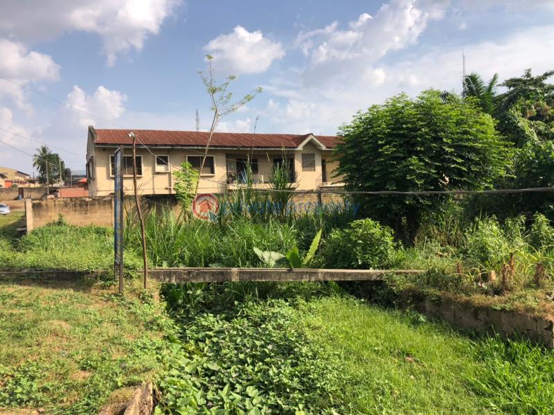 Land For Sale Road Opposite Methodist Church, Challenge Challenge Ibadan Oyo - 3