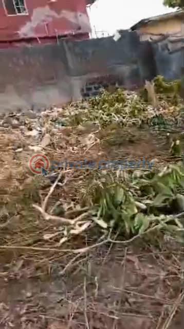 Land For Sale Iju-Ishaga Agege Lagos - 3