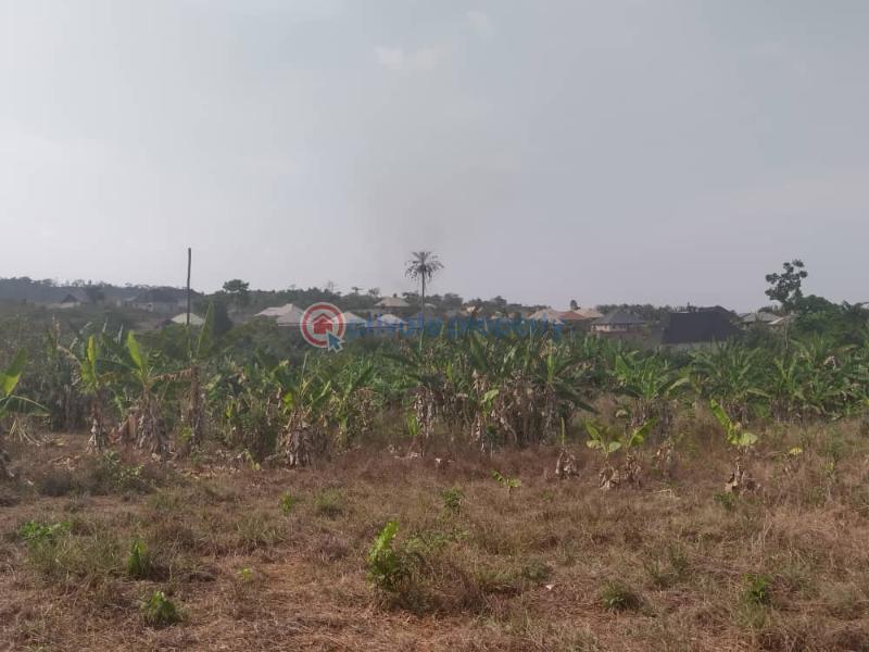 Residential Land For Sale Ojo Ekun, Asunle, Akala Express Ibadan Oyo - 3