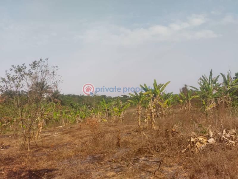 Residential Land For Sale Ojo Ekun, Asunle, Akala Express Ibadan Oyo - 0