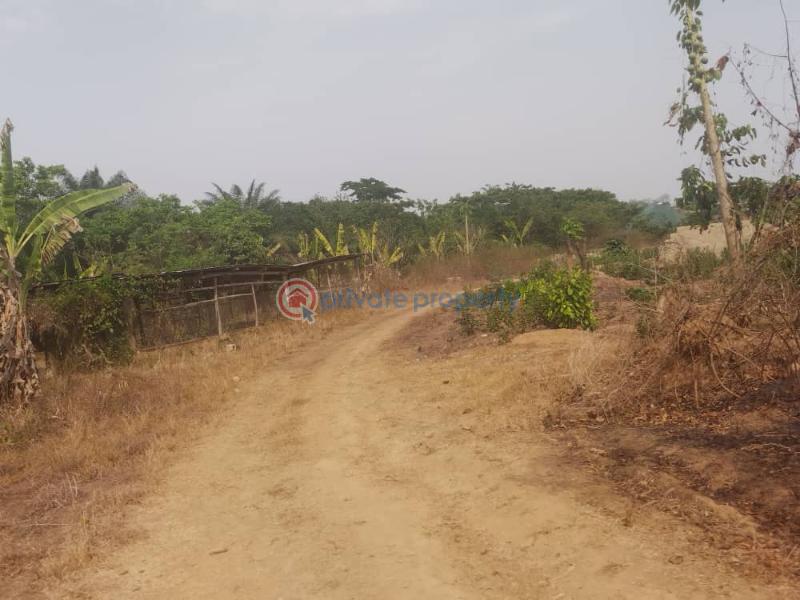 Residential Land For Sale Ojo Ekun, Asunle, Akala Express Ibadan Oyo - 4